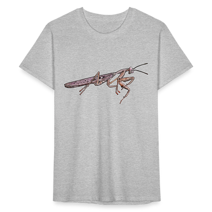 Männer Fruit of the Loom T-Shirt Rhombodera kirbyi male - Grau meliert