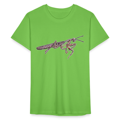 Männer Fruit of the Loom T-Shirt Rhombodera kirbyi male - Hellgrün