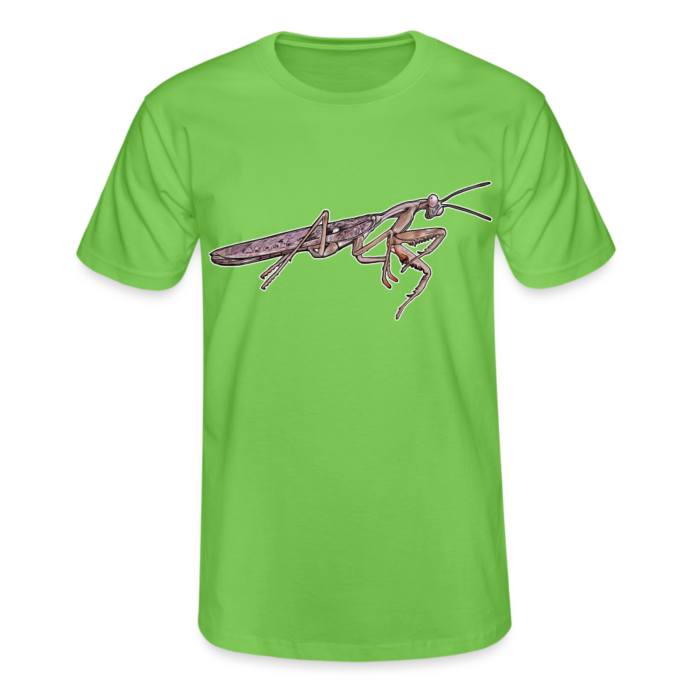 Männer Fruit of the Loom T-Shirt Rhombodera kirbyi male - Hellgrün