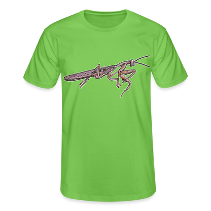 Männer Fruit of the Loom T-Shirt Rhombodera kirbyi male - Hellgrün