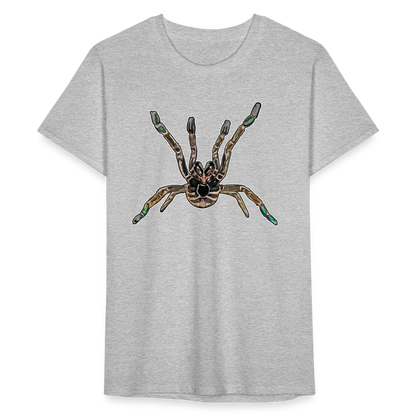 Männer Fruit of the Loom T-Shirt Pterinochilus murinus tcf - Grau meliert