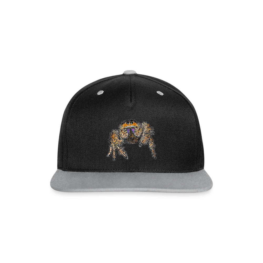 Cappy Kontrast Snapback Phidippus regius Everglades female - Schwarz/Grau