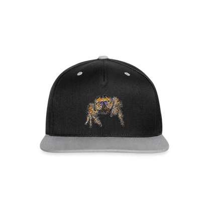 Cappy Kontrast Snapback Phidippus regius Everglades female - Schwarz/Grau