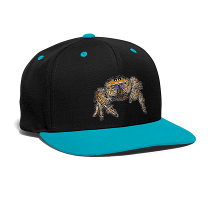 Cappy Kontrast Snapback Phidippus regius Everglades female - Schwarz/Türkis
