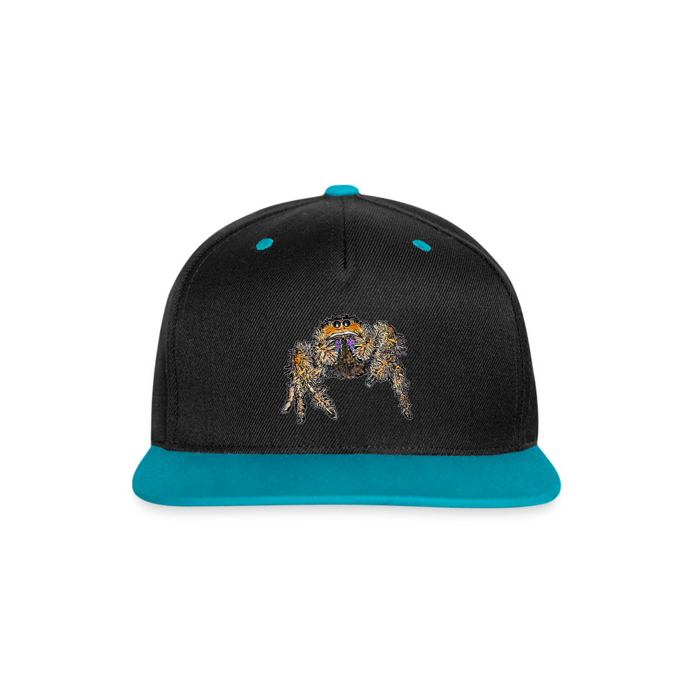 Cappy Kontrast Snapback Phidippus regius Everglades female - Schwarz/Türkis