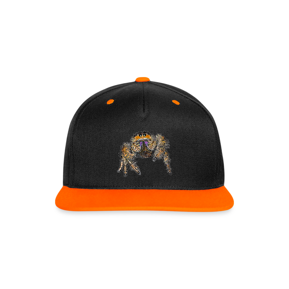 Cappy Kontrast Snapback Phidippus regius Everglades female - Schwarz/Neonorange