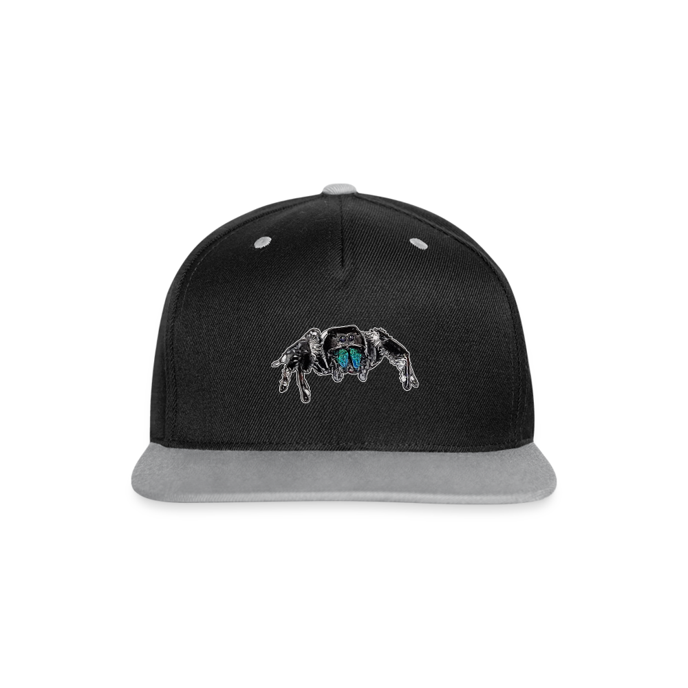 Cappy Kontrast Snapback Phidippus regius Everglades male - Schwarz/Grau