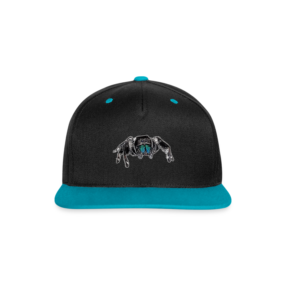Cappy Kontrast Snapback Phidippus regius Everglades male - Schwarz/Türkis