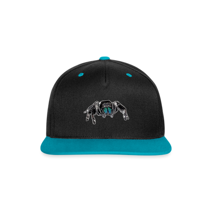 Cappy Kontrast Snapback Phidippus regius Everglades male - Schwarz/Türkis