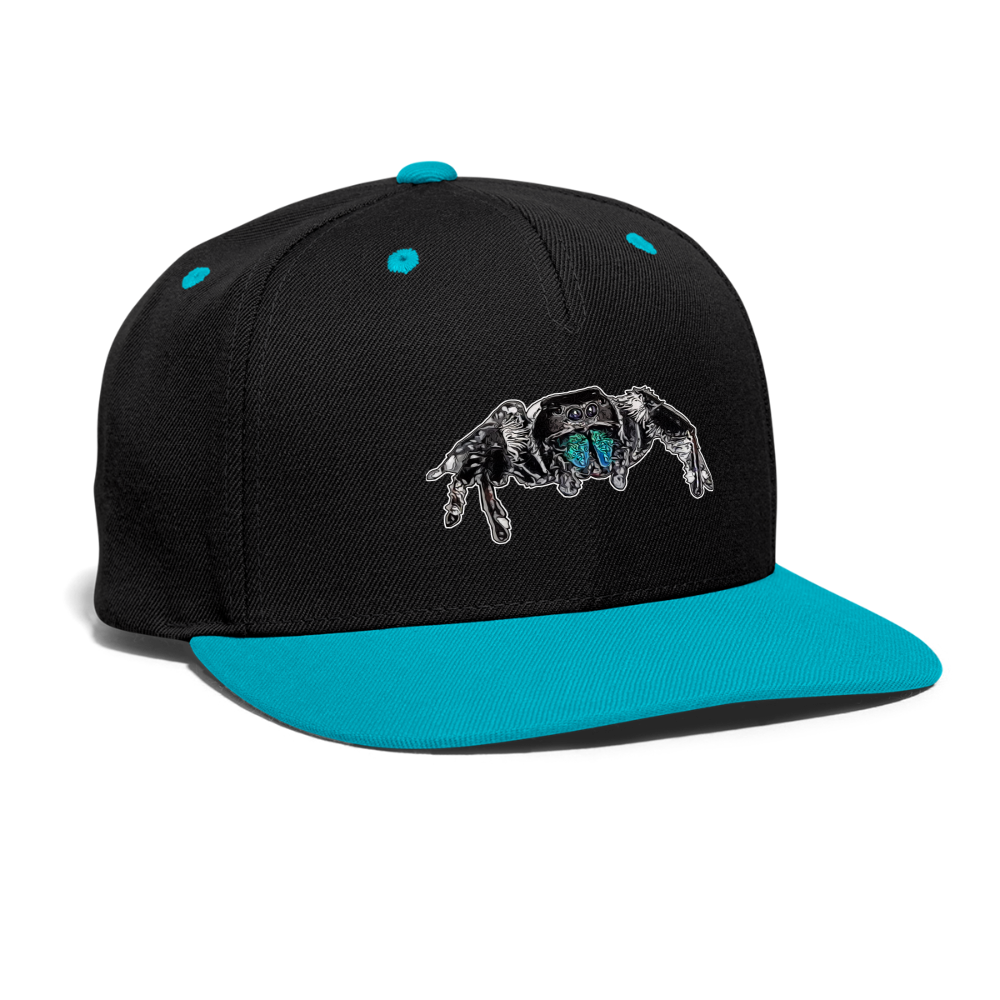 Cappy Kontrast Snapback Phidippus regius Everglades male - Schwarz/Türkis