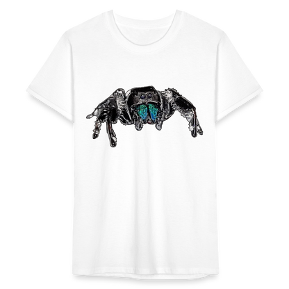 Männer Fruit of the Loom T-Shirt Phidippus regius Everglades male - weiß