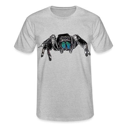 Männer Fruit of the Loom T-Shirt Phidippus regius Everglades male - Grau meliert