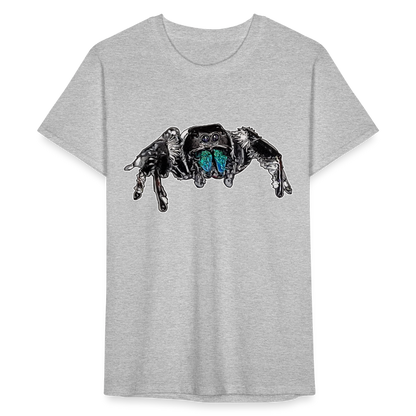 Männer Fruit of the Loom T-Shirt Phidippus regius Everglades male - Grau meliert