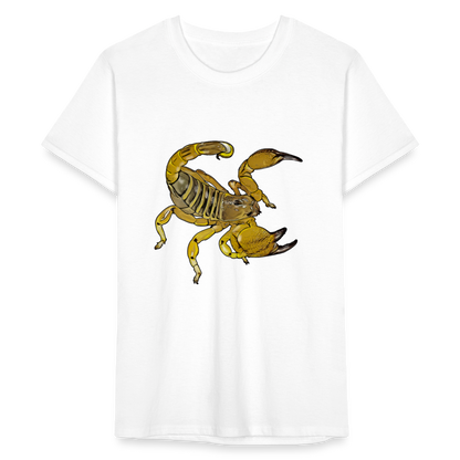 Männer Fruit of the Loom T-Shirt Scorpio maurus palmatus - weiß