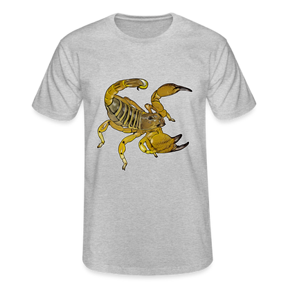 Männer Fruit of the Loom T-Shirt Scorpio maurus palmatus - Grau meliert