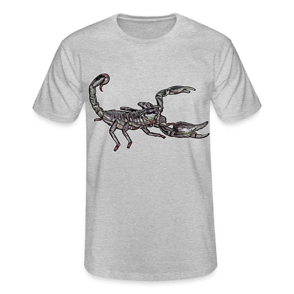 Männer Fruit of the Loom T-Shirt Heterometrus silenus - Grau meliert