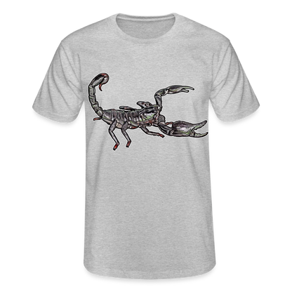 Männer Fruit of the Loom T-Shirt Heterometrus silenus - Grau meliert