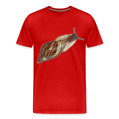 Männer Basic T-Shirt Achatina reticulata wildfarben - Rot