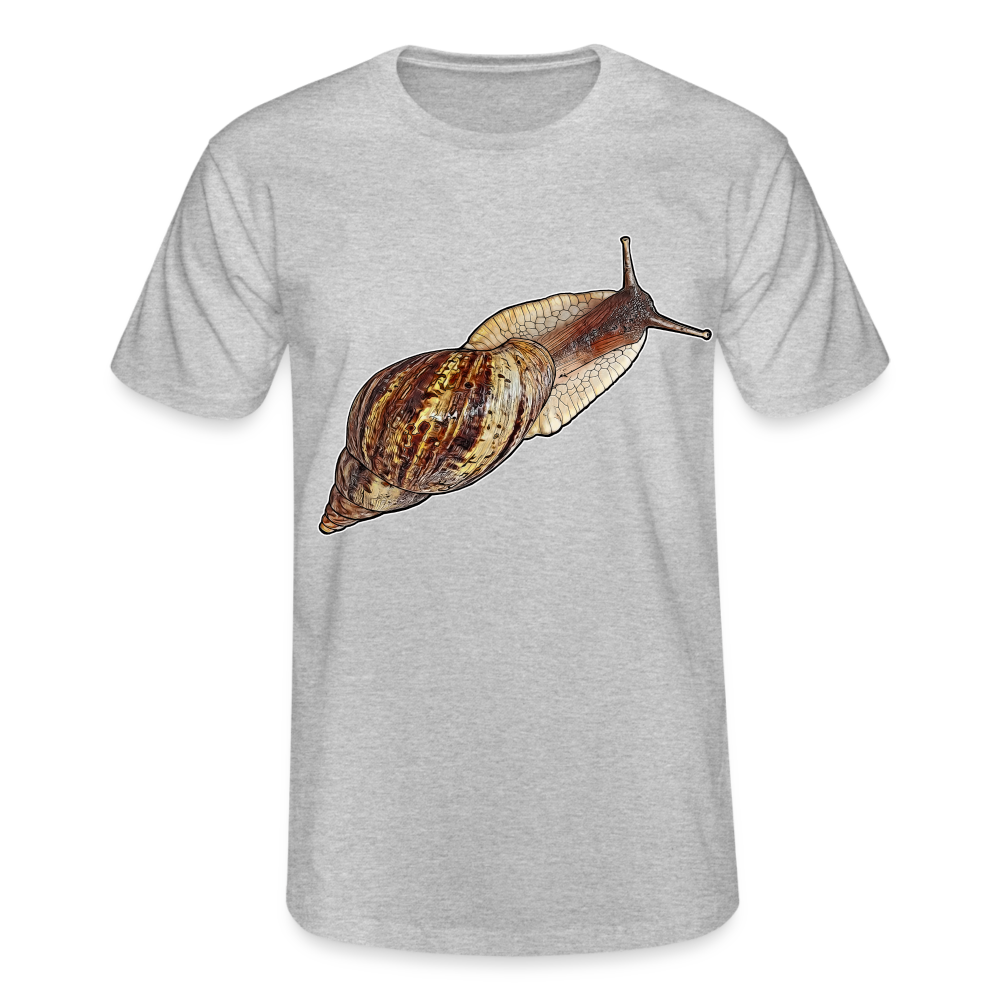Männer Fruit of the Loom T-Shirt Achatina reticulata wildfarben - Grau meliert