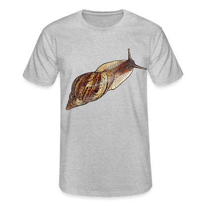 Männer Fruit of the Loom T-Shirt Achatina reticulata wildfarben - Grau meliert