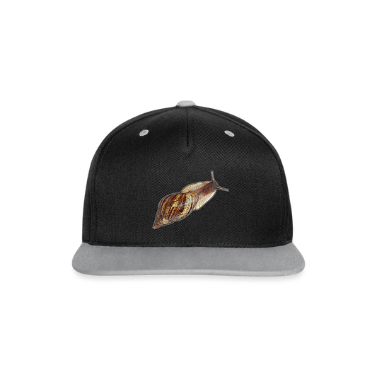 Cappy Kontrast Snapback  Achatina reticulata wildfarben - Schwarz/Grau