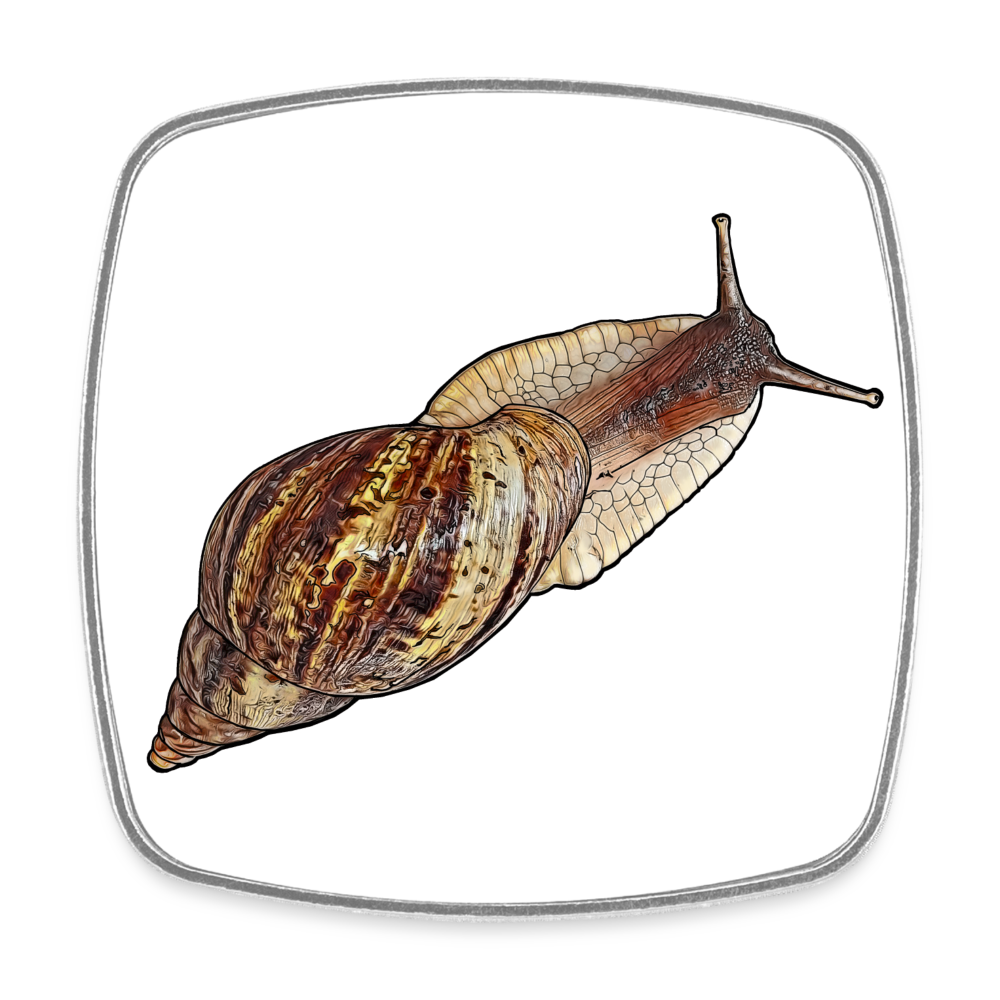 Kühlschrankmagnet eckig Achatina reticulata wildfarben - weiß