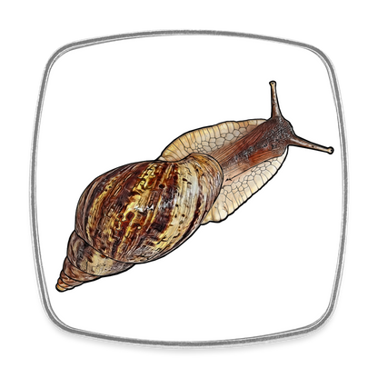 Kühlschrankmagnet eckig Achatina reticulata wildfarben - weiß