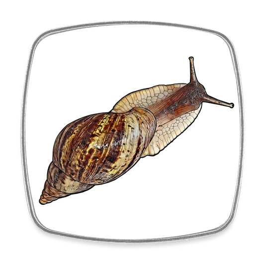 Kühlschrankmagnet eckig Achatina reticulata wildfarben - weiß