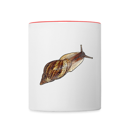 Tasse farbig Achatina reticulata wildfarben - Weiß/Rot