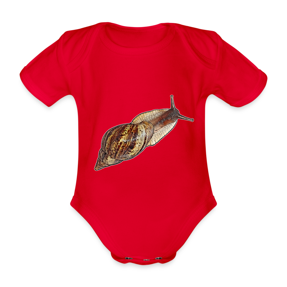 Baby Bio Body kurz Achatina reticulata wildfarben - Rot