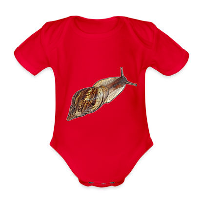 Baby Bio Body kurz Achatina reticulata wildfarben - Rot