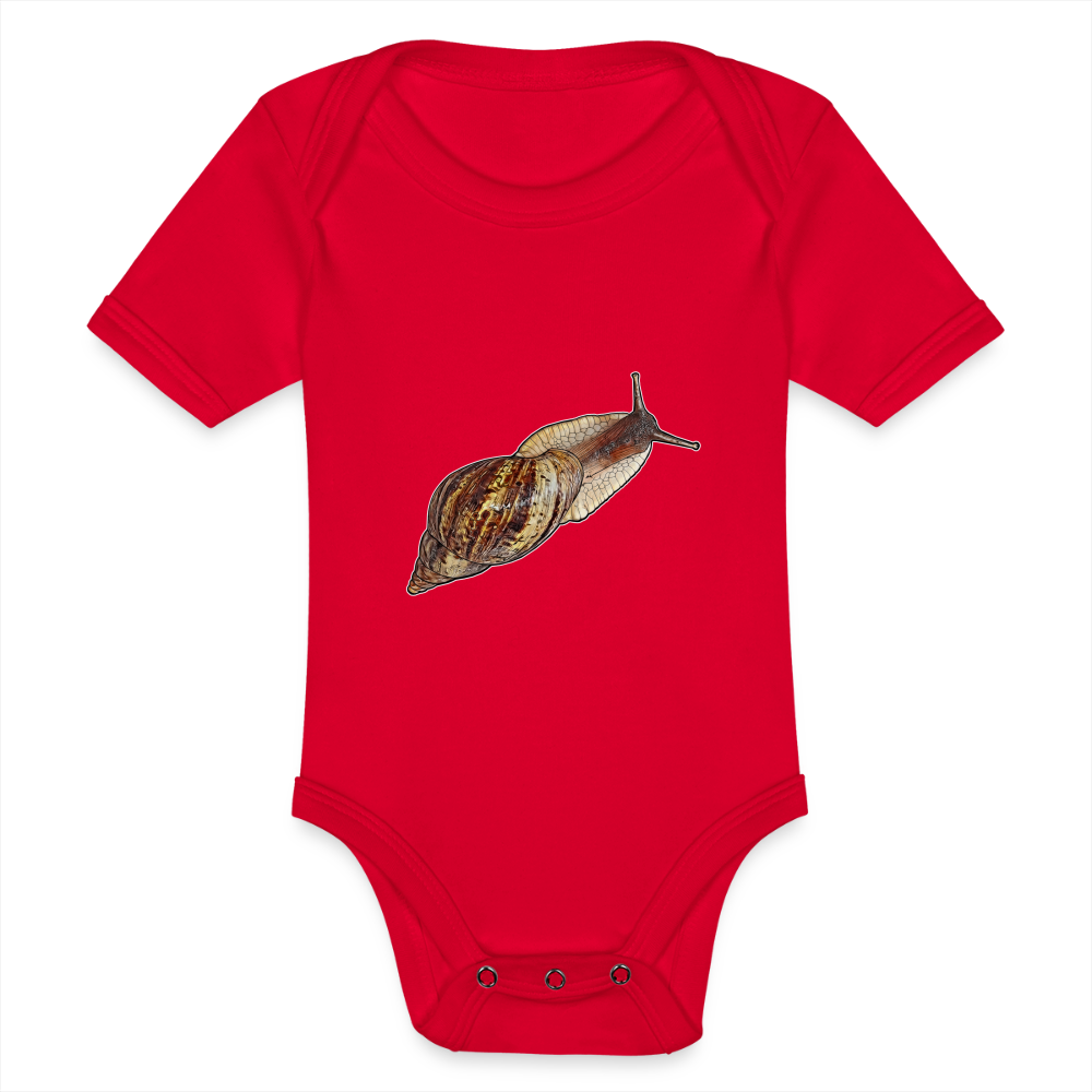 Baby Bio Body kurz Achatina reticulata wildfarben - Rot