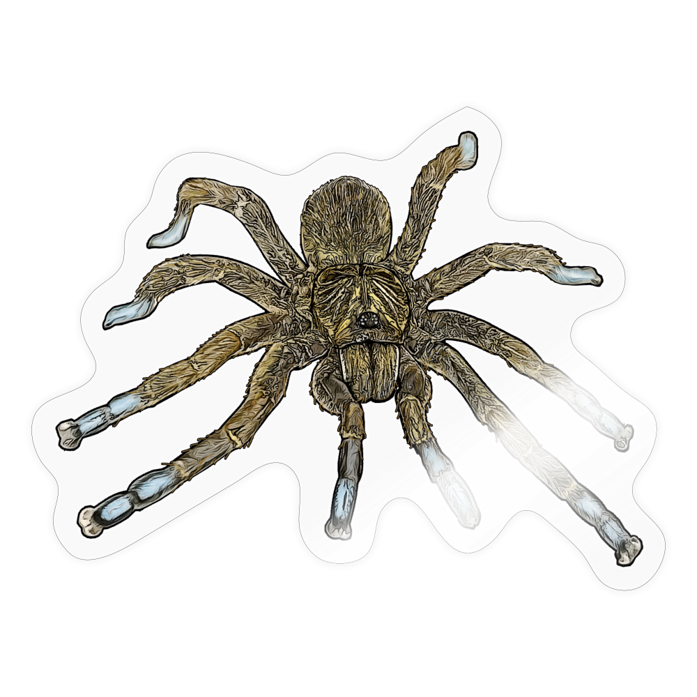 Sticker Idiothele mira - Transparent glänzend