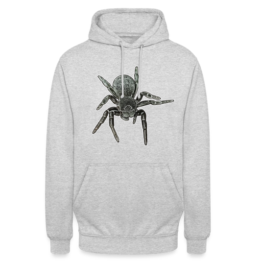 Unisex Hoodie Eresus walckenaeri - Hellgrau meliert