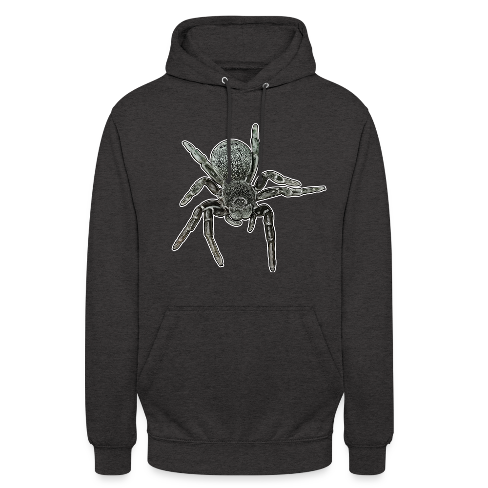 Unisex Hoodie Eresus walckenaeri - Anthrazit