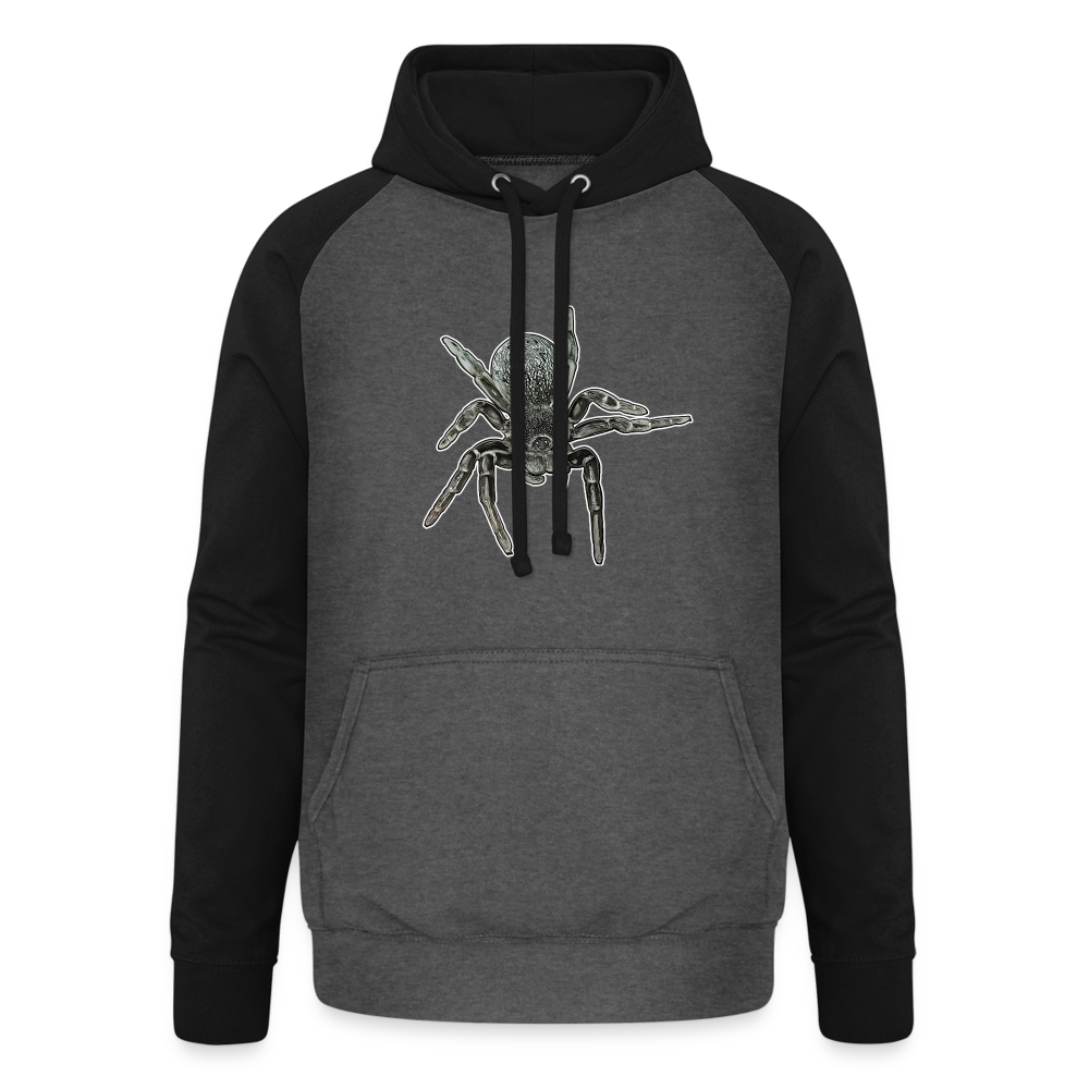 Unisex Baseball Hoodie Eresus walckenaeri - Graphit/Schwarz