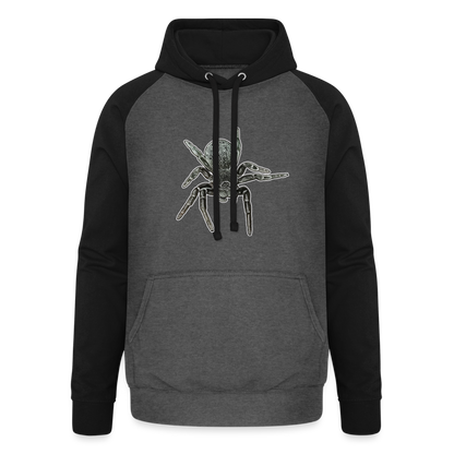 Unisex Baseball Hoodie Eresus walckenaeri - Graphit/Schwarz
