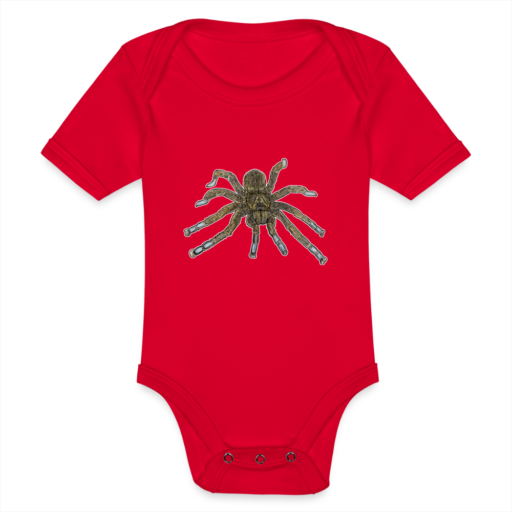 Baby Bio Body kurz Idiothele mira - Rot