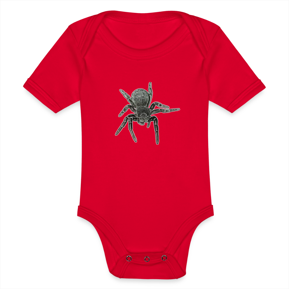 Baby Bio Body kurz Eresus walckenaeri - Rot