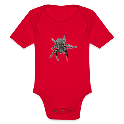 Baby Bio Body kurz Eresus walckenaeri - Rot