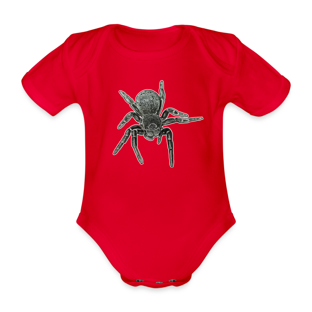 Baby Bio Body kurz Eresus walckenaeri - Rot
