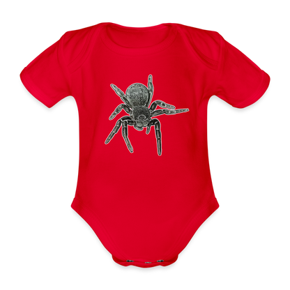 Baby Bio Body kurz Eresus walckenaeri - Rot