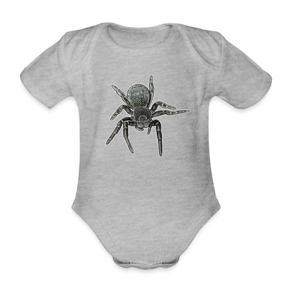 Baby Bio Body kurz Eresus walckenaeri - Grau meliert