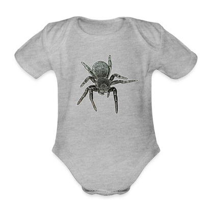 Baby Bio Body kurz Eresus walckenaeri - Grau meliert