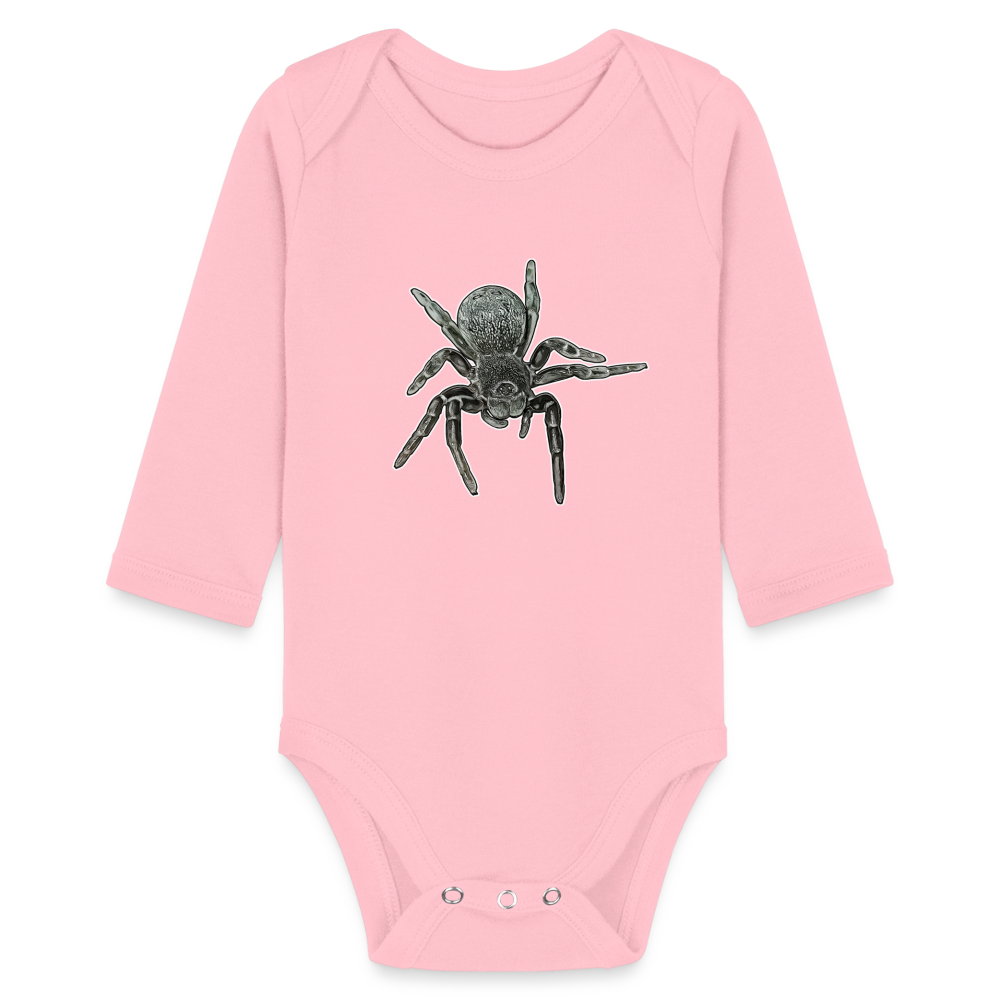 Baby Bio Body lang Eresus walckenaeri - Hellrosa
