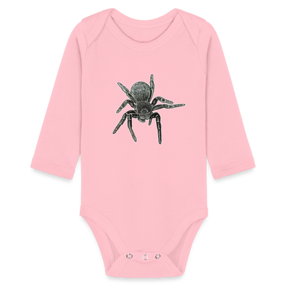 Baby Bio Body lang Eresus walckenaeri - Hellrosa