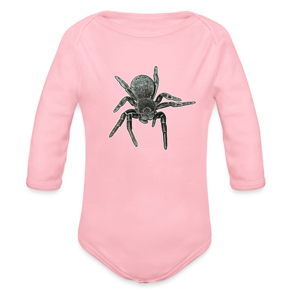 Baby Bio Body lang Eresus walckenaeri - Hellrosa