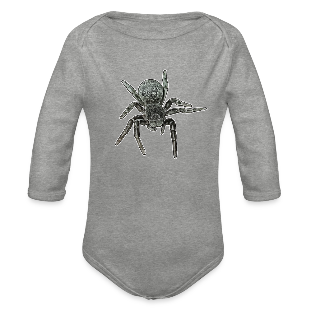 Baby Bio Body lang Eresus walckenaeri - Grau meliert