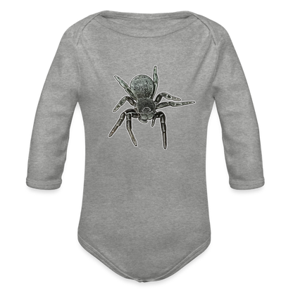 Baby Bio Body lang Eresus walckenaeri - Grau meliert
