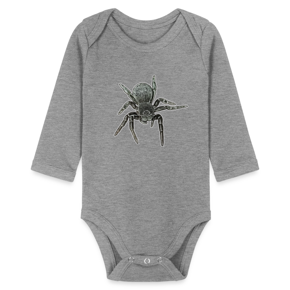 Baby Bio Body lang Eresus walckenaeri - Grau meliert